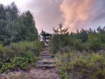 Wiea widokowa