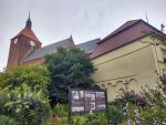 Koci Mariacki