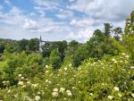 Widok z G�ry Zamkowej